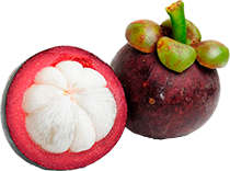 Cereza de café orgánico