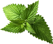 Cereza de café orgánico