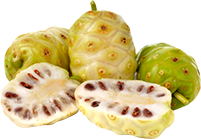 Cereza de café orgánico